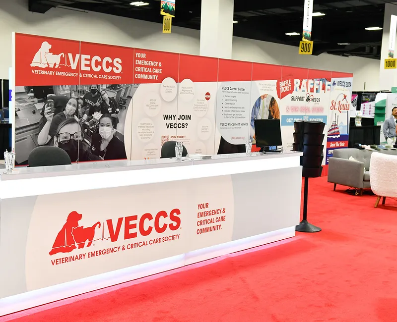 What Can We Expect from IVECCS 2024?